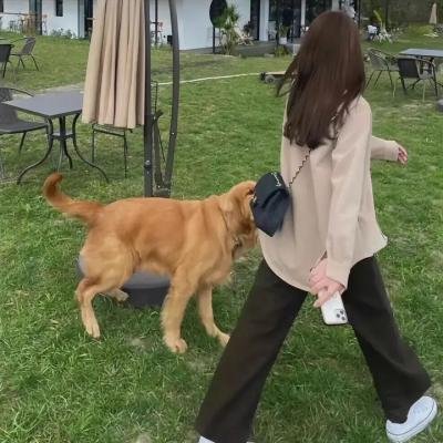 猎巫行动：大灭绝